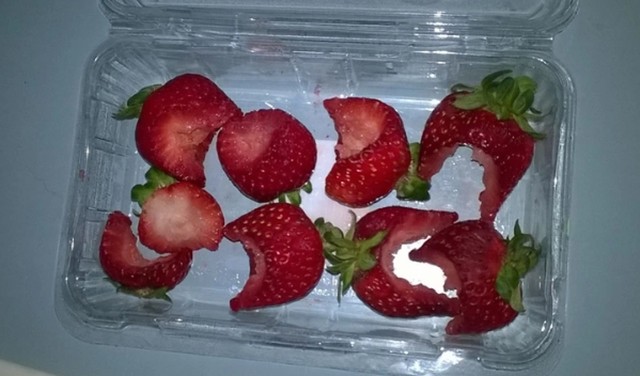 6. "Ovako izgleda život s malim djetetom..."