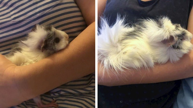 1. "Od malog klupka, do malo većeg klupka"