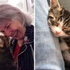 10+ predivnih priča koje dokazuju da mačke mogu biti jednako (ako ne i više) odane kao i psi