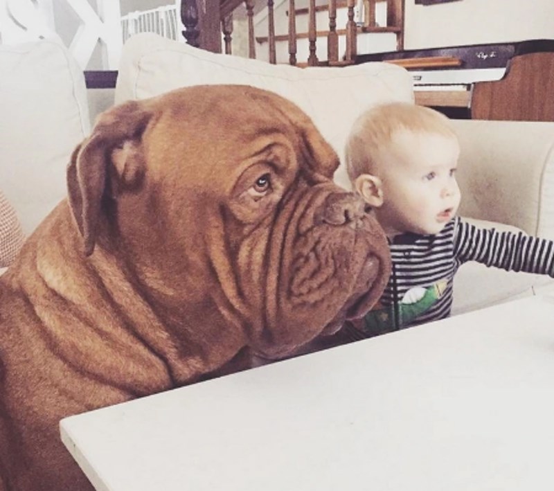 "Partneri u zločinu."