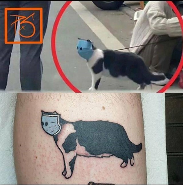 6.