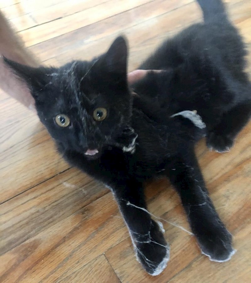 18. "Otišao je iza ladica i ovakav se vratio. Ni on nije oduševljen"