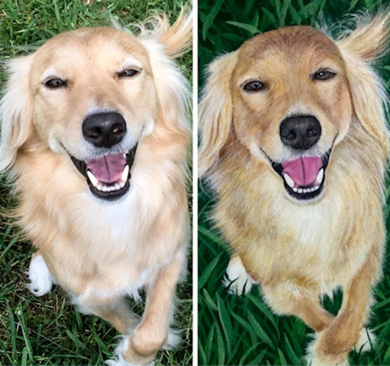 10. "Moj pas i slika koju sam dala napraviti - predivan je!"