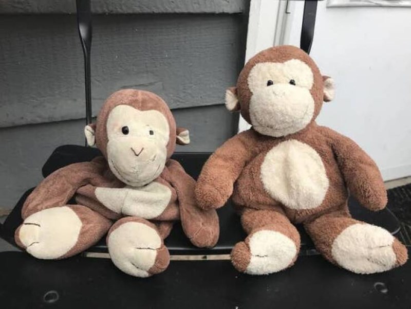 "Moj stari plišani majmun više ni nema punjenja u sebi."