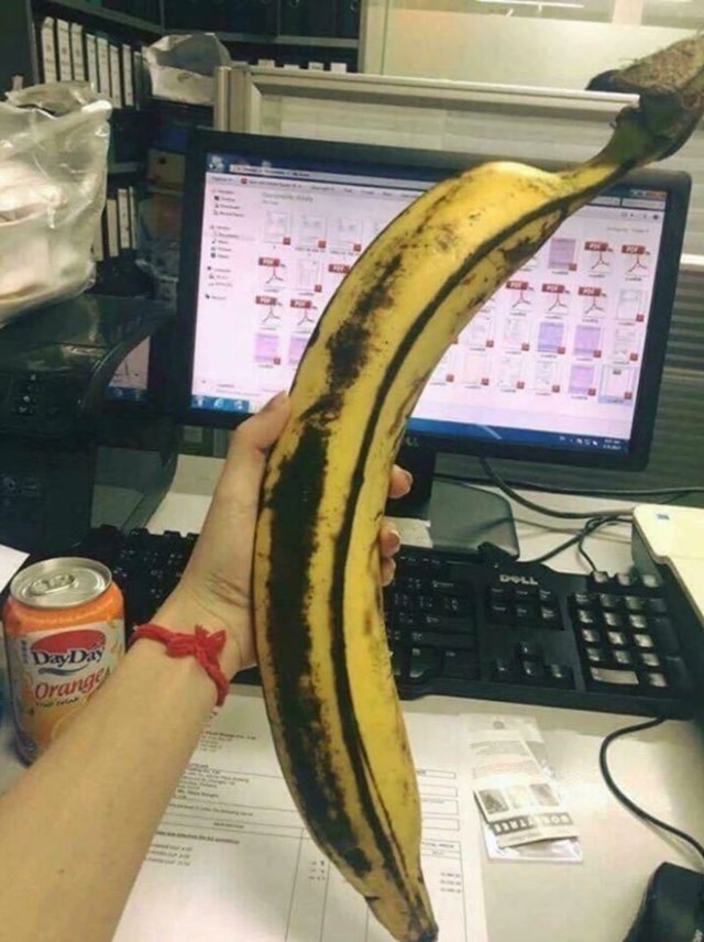 11. Jeste li ikada vidjeli ovako veliku bananu?