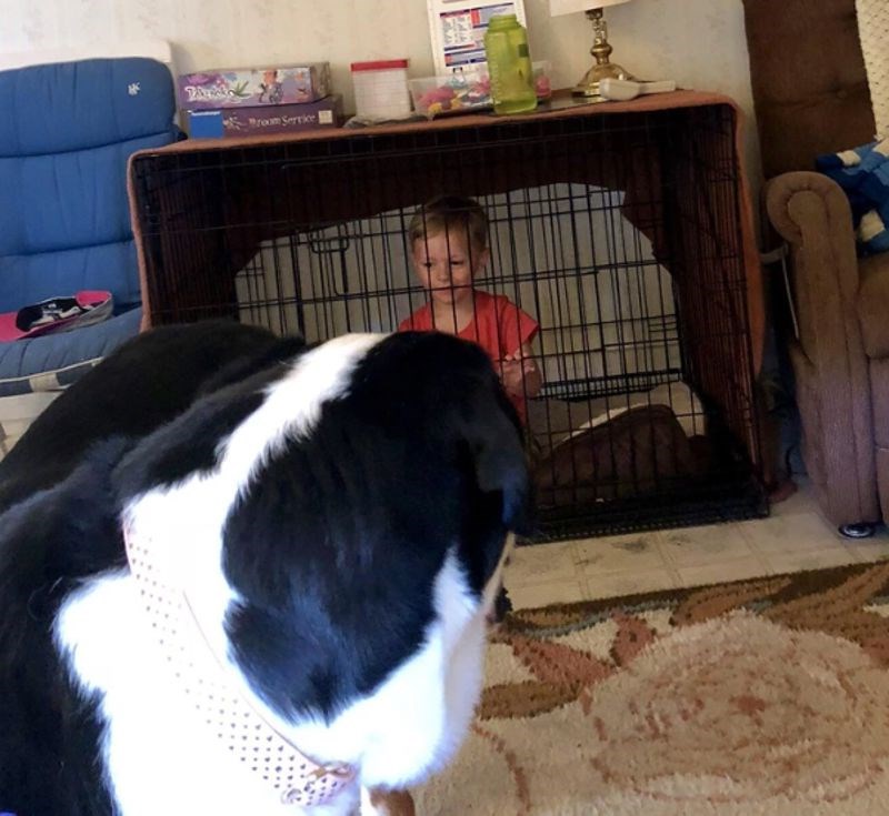 "Moj nećak stvarno voli sve sam isprobati"