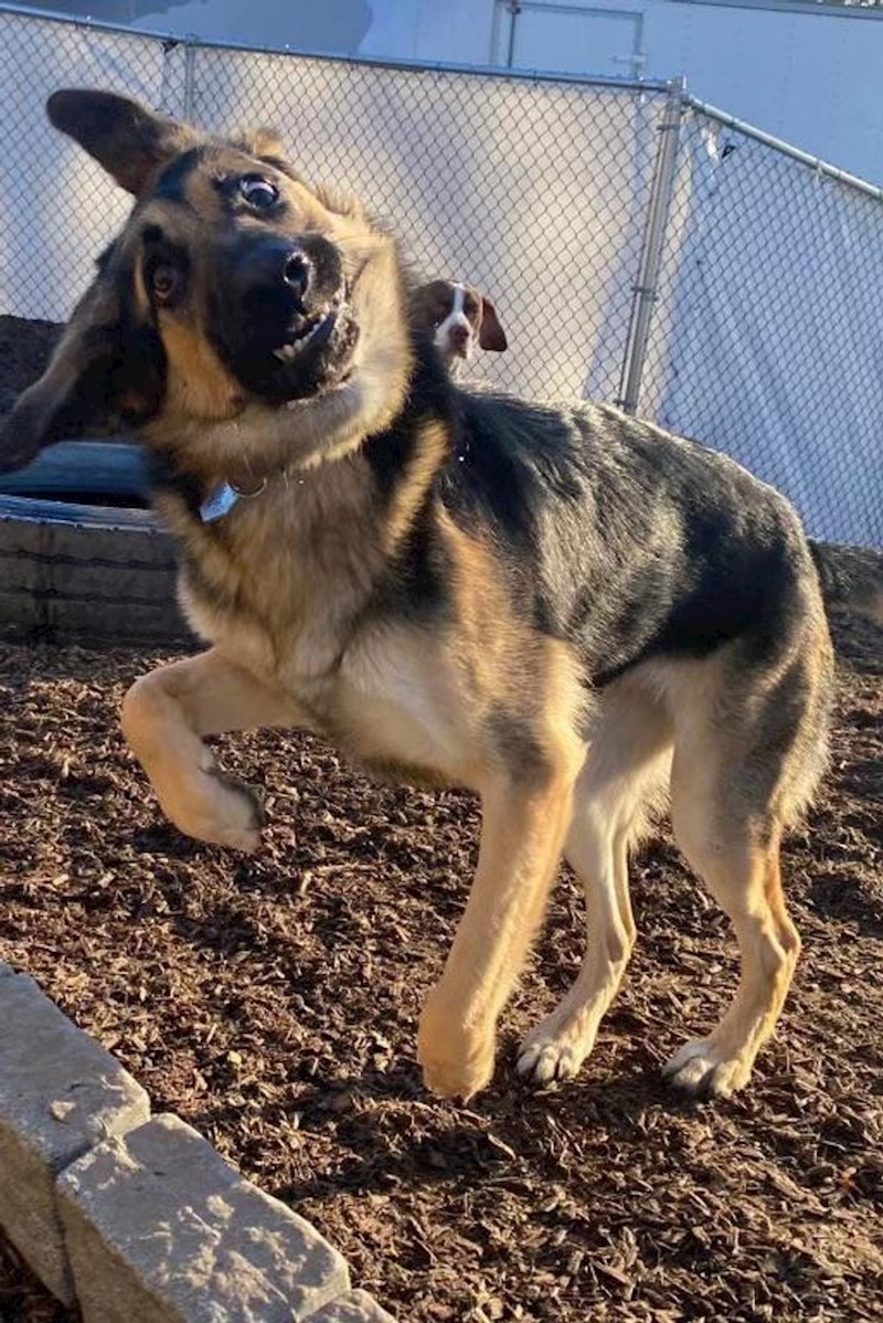 8. "Kako sam je samo ulovila, odlična slika!"