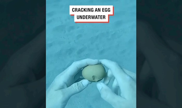 Tip je razbio jaje pod vodom i snimio prefora prizor, video u jednom danu pogledan pet mil. puta