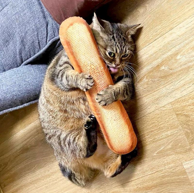 Netko očito jako voli baguette...