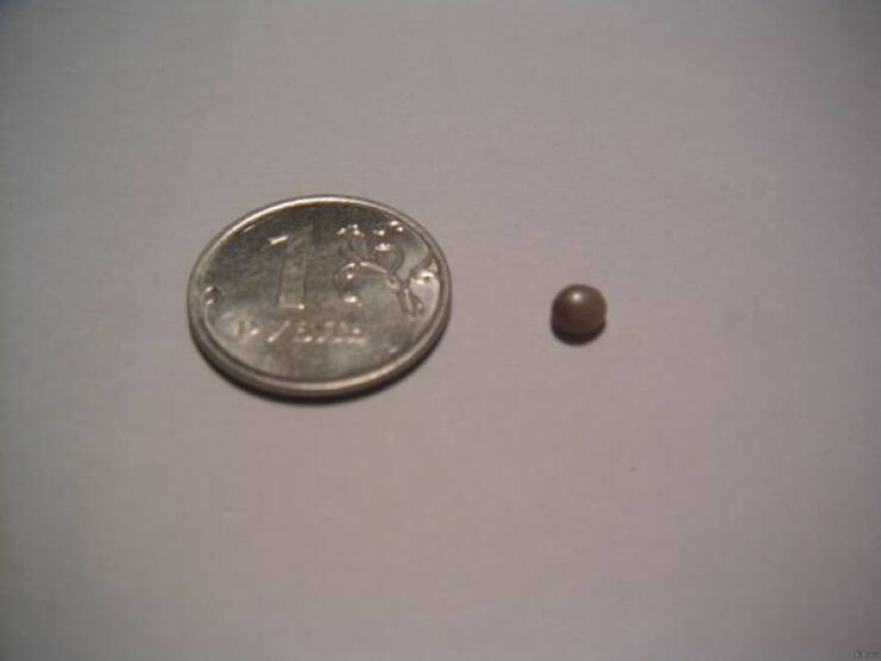 "Sinoć sam jeo dagnje i osjetio nešto tvrdo pod zubom. Ispostavilo se da je riječ o praom biseru!"