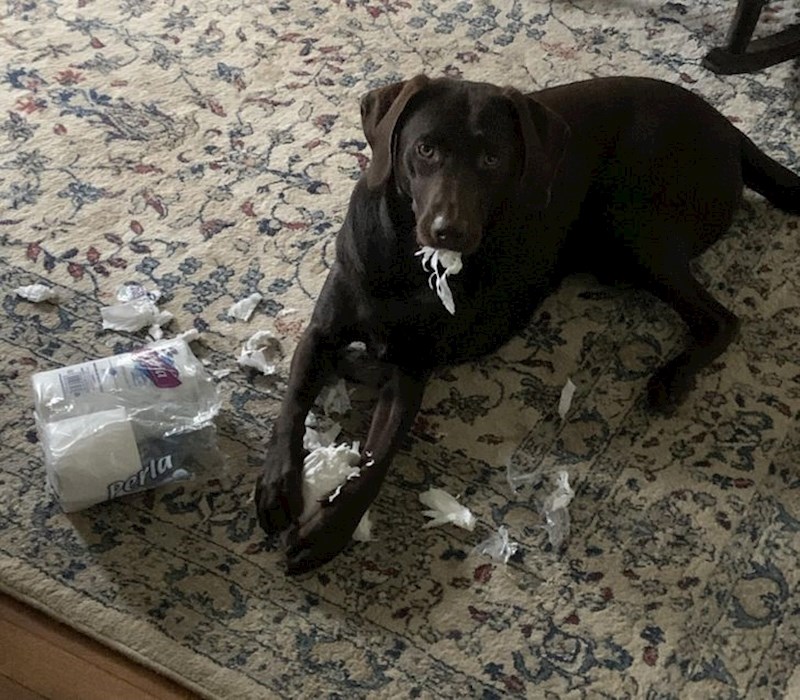 16. "Uopće ga nije briga što smo ga ulovili"