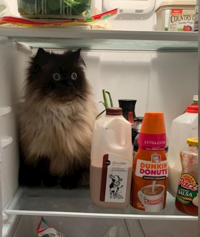 "Evo kako se on nosi s toplinskim valom"