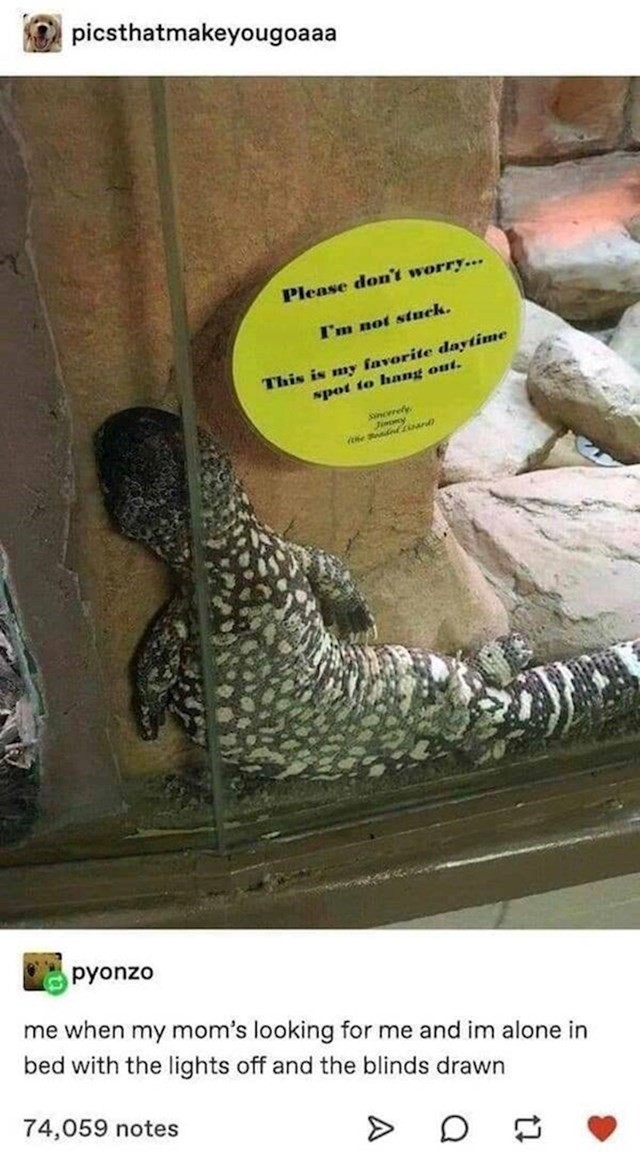 3.