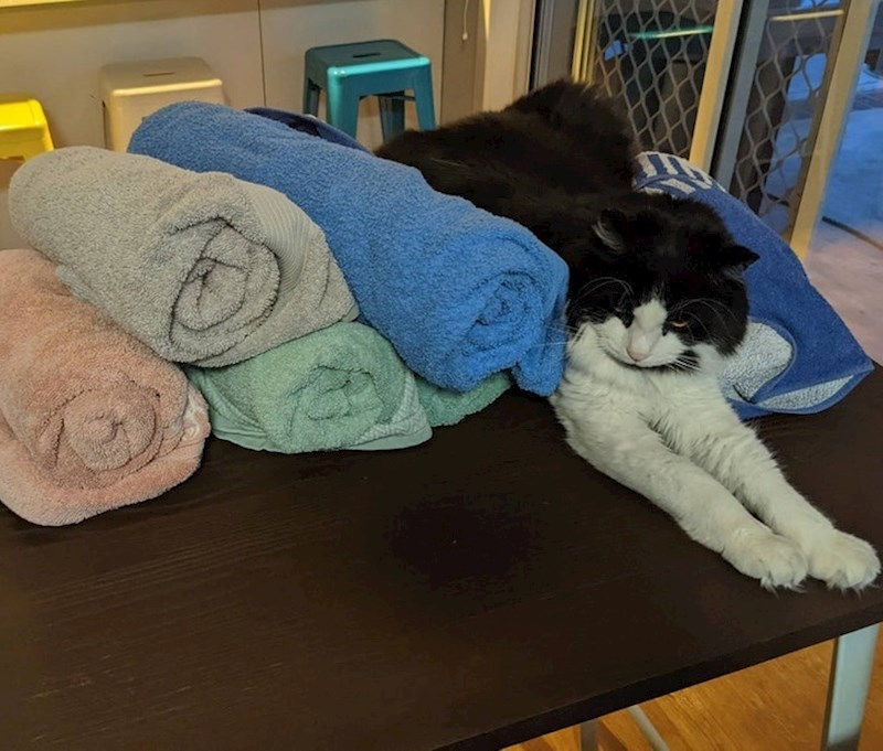 12. Radionica: kako postati ručnik