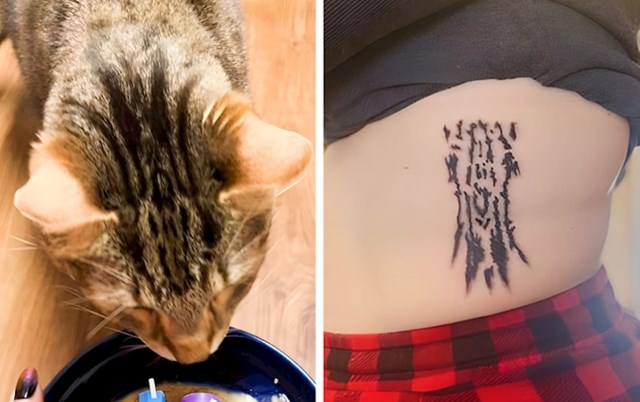 11. "Jedna tetovaža za moju mačku koja je imala predobar uzorak po dlaci"