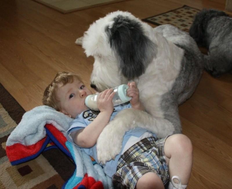 "Bez sumnje, naš pas je najbolja dadilja."