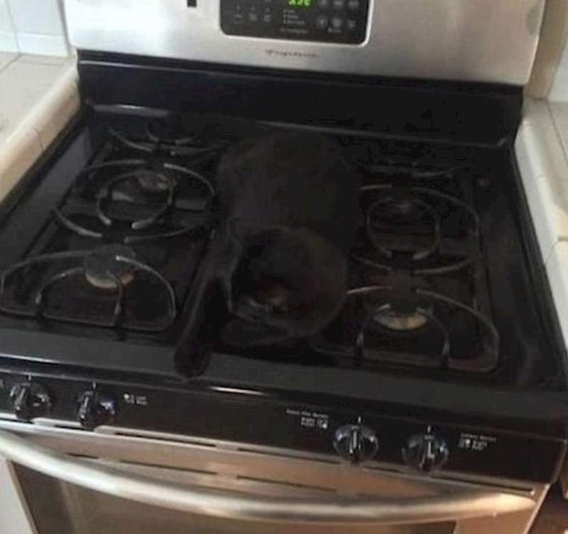 7. "Malo je nedostajalo da si zapalim mačku"