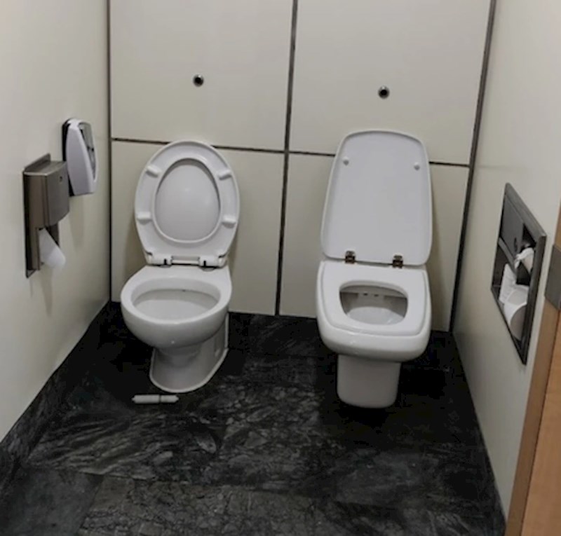 8. Naravno, tko ne voli dijeliti wc?