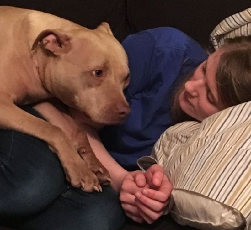 "Ni jedan dan ne može proći bez puno maženja"