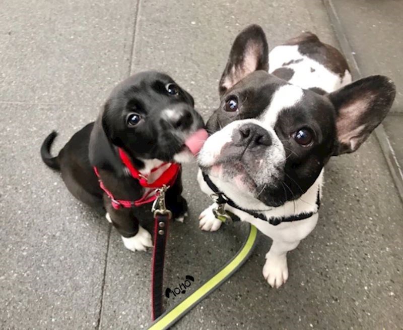 13. Naaajbolji prijatelji