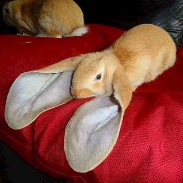 1.