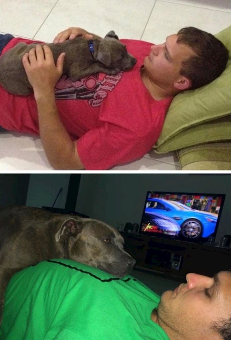 "Ovo je i dalje njegovo omiljeno mjesto nakon sedam godina."