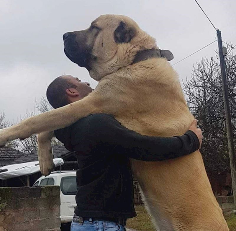 6. Ma maaaali je on...