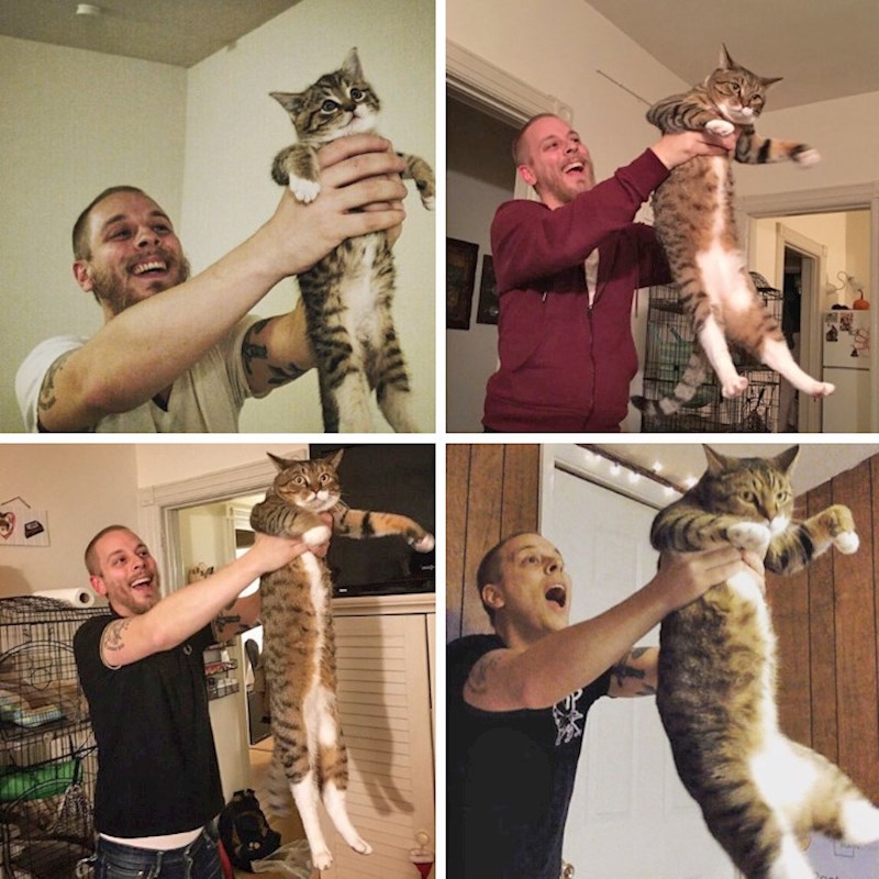 "Svake godine od udomljenja "odglumimo" scenu iz Kralja lavova"