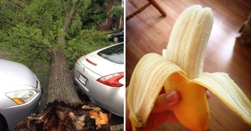 10+ ljudi koje je sreća pomazila u najneočekivanijim situacijama