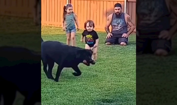 Tata je htio naučiti klince kako da se igraju sa psom, kraj videa je totalno neočekivan i urnebesan