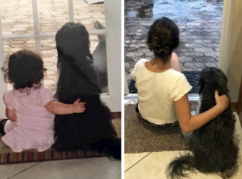 "Naš obiteljski pas i ja 12 godina kasnije"