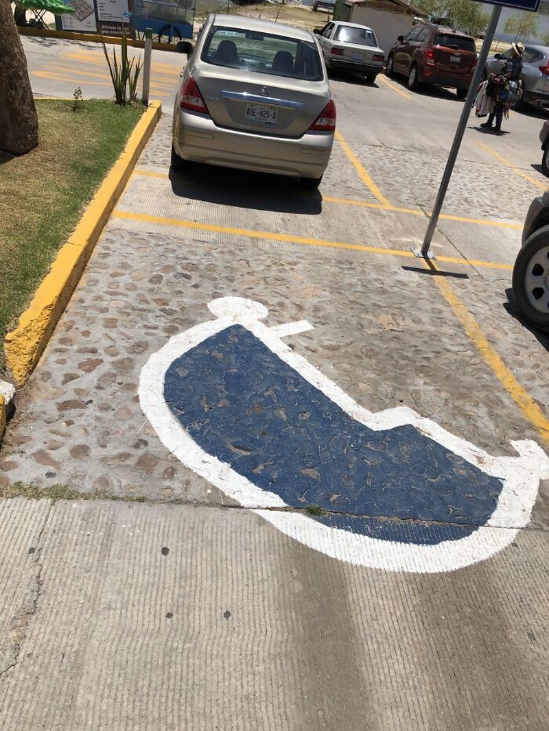 12. Nama ovo više izgleda kao kornjača nego osoba u kolicima.