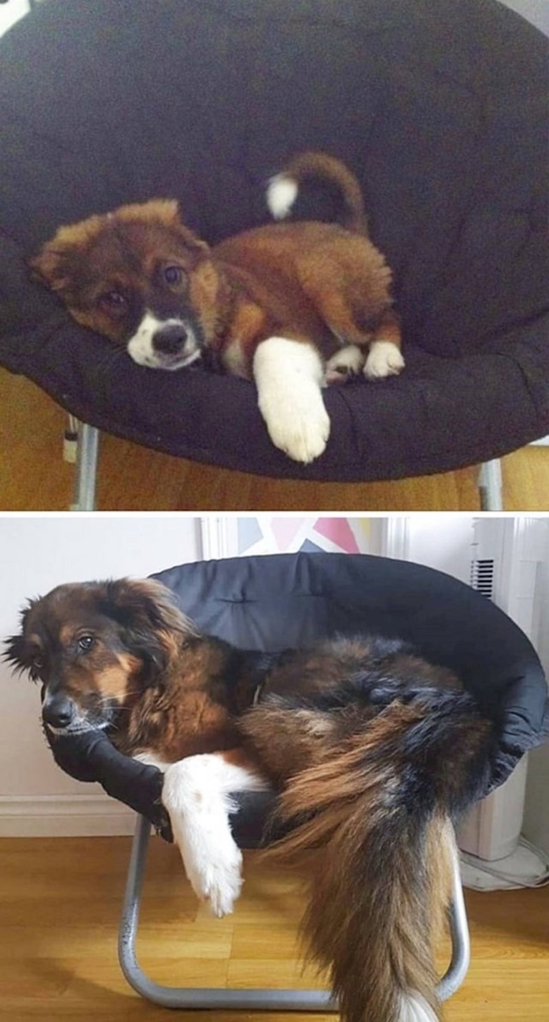 "Isto mjesto, ali nakon 5 godina."