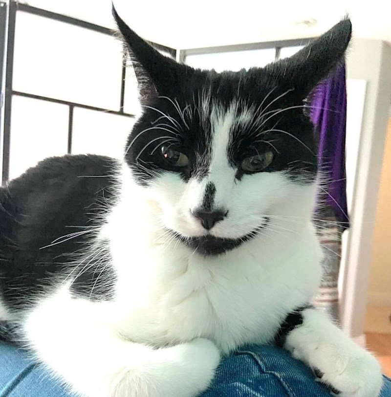 3. Izgleda kao zlikovac u nekom akcijskom filmu