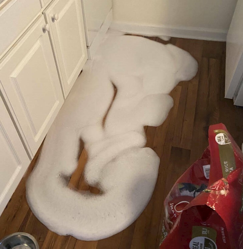 "A dobro mi je rekla mama da ne stavljam deterdžent za pranje posuđa nego da kupim kapsule za perilicu."