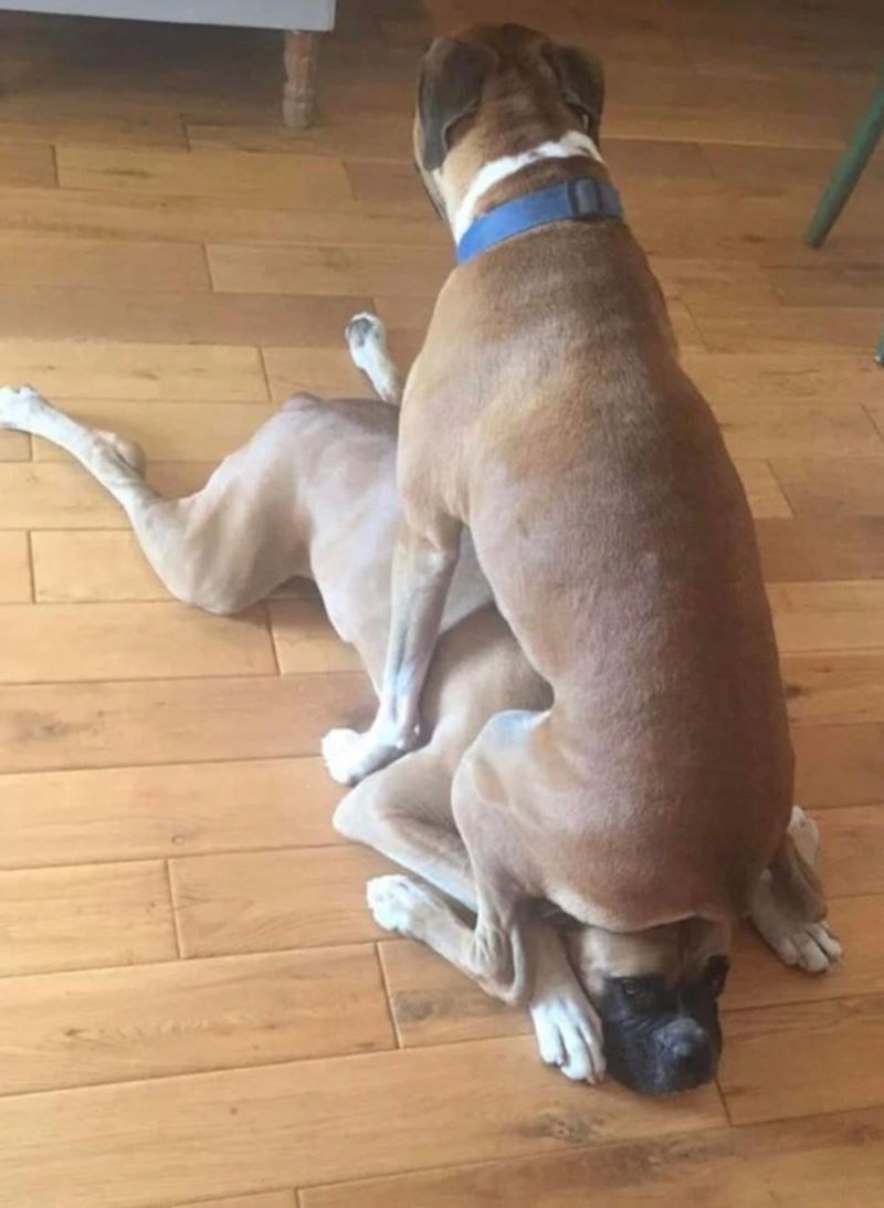 "Najbolje mjesto za sjediti."