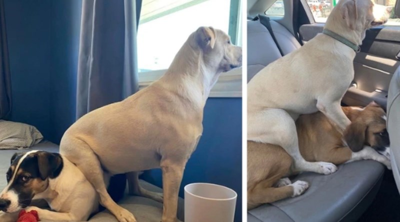 9. Ovako očito bolje vidi 😄