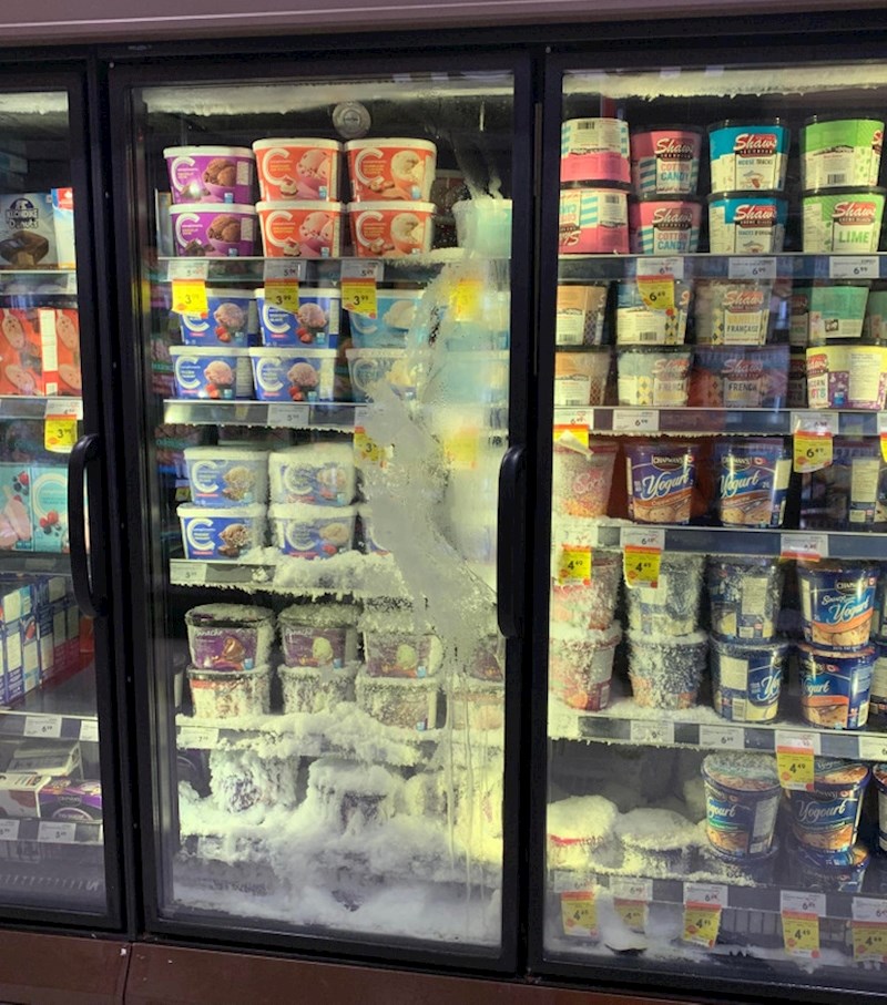 8. "Danas me na poslu dočekao ovaj prizor. Bila sam oduševljena..."