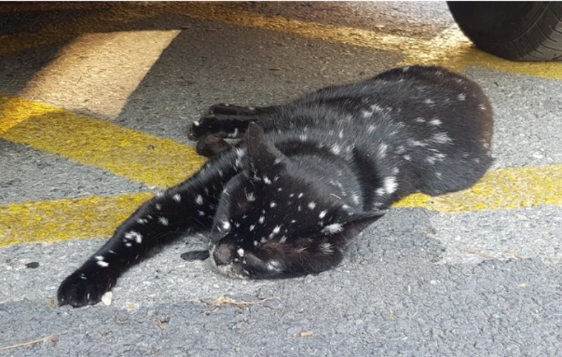 3. Izgleda kao nacrtana.