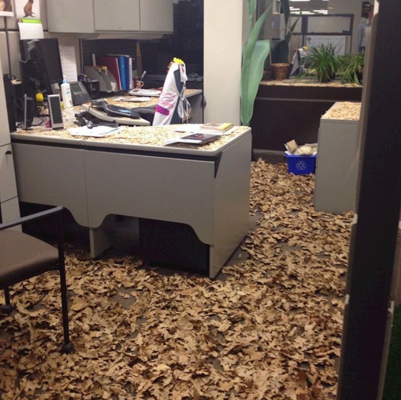 "Ne znam kome se kolegica zamjerila, ali definitivno neće biti sretna kad dođe na posao"