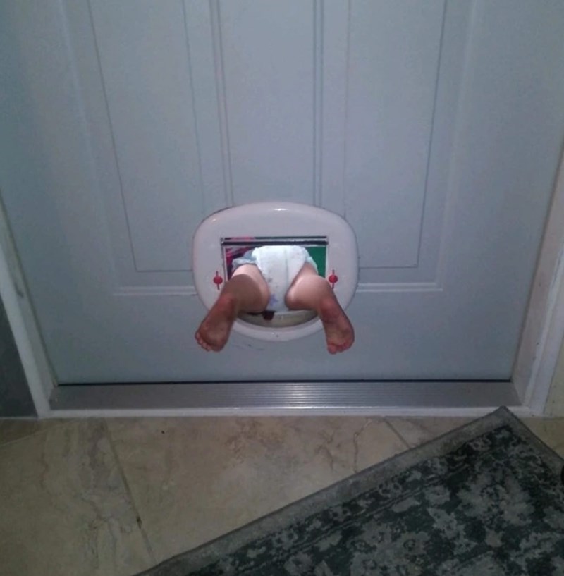 "Poslao sam sestri ovu sliku i rekao da mi je nećakinja shvatila čemu služe vrata za mačke."