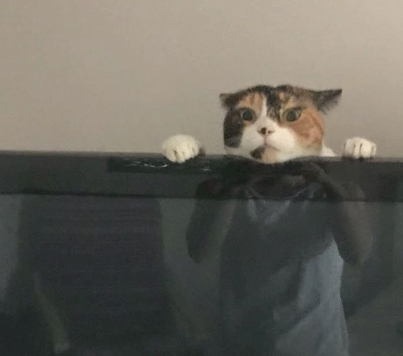 8. Trenutak prije katastrofe