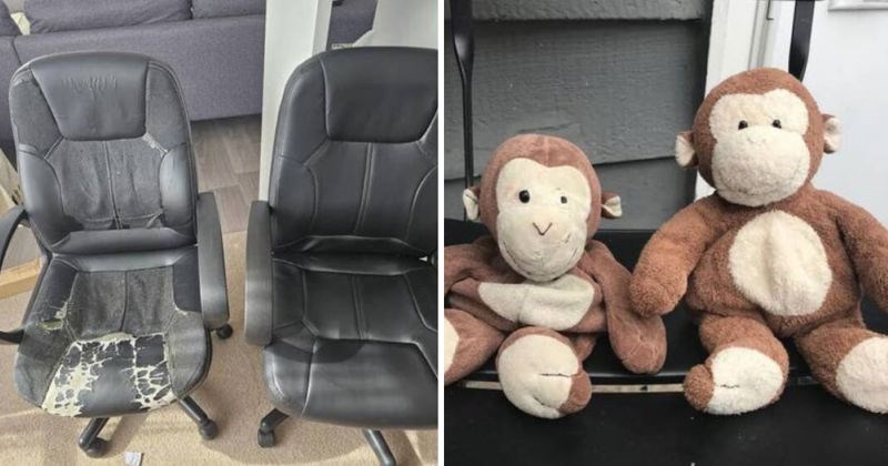 15 zanimljivih slika koje pokazuju koliko se predmeti drastično mijenjaju s vremenom i korištenjem