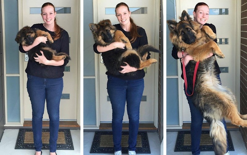 "Od osam tjedana do osam mjeseci"