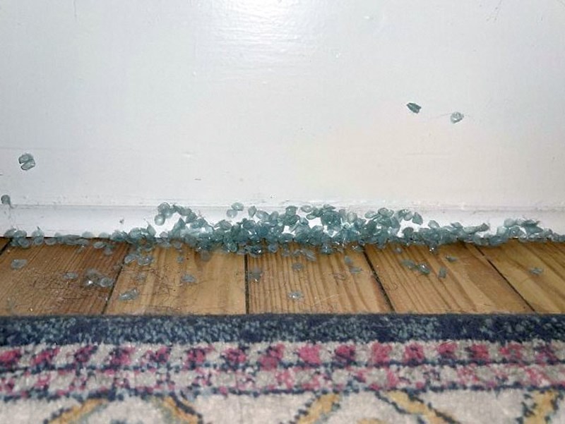 "Nedavno sam otkrio da moja cura svoje dnevne leće baca iza noćnog ormarića. Sad već ima pravu odvratnu kolekciju."