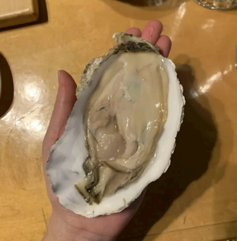 6. Netko je pronašao veliku kamenicu