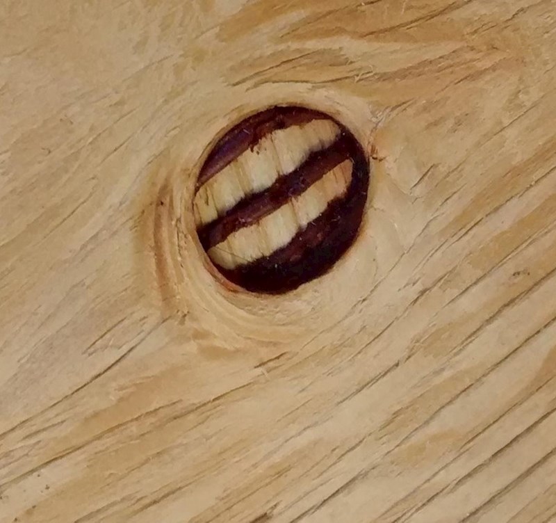 9. Izgledaju kao zubi...