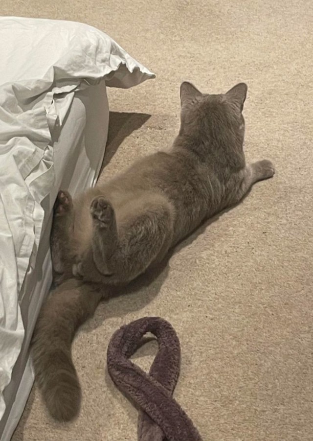 1.