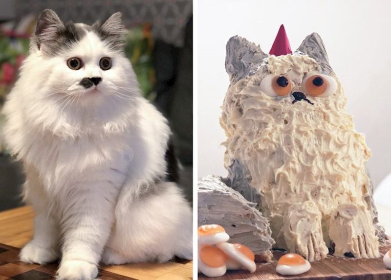 "Pokušala sam napraviti tortu po uzoru na našu mačku. Nije baš ispala kao naša mačka..."