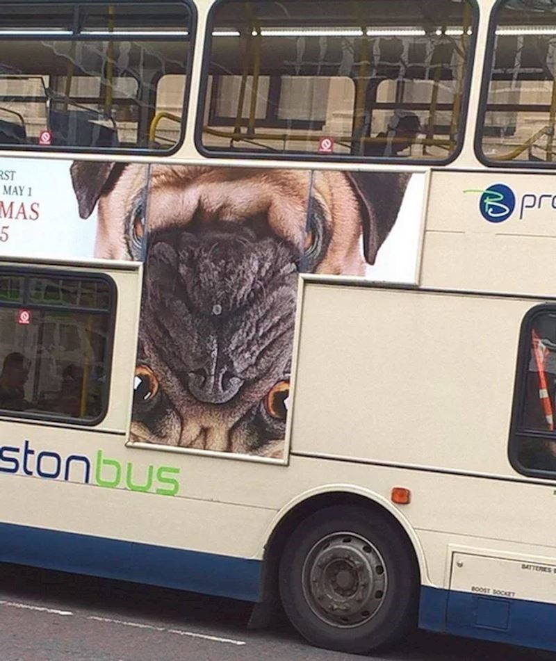 4. Rijetko tko će ovo vidjeti i ne nasmijati se 😅